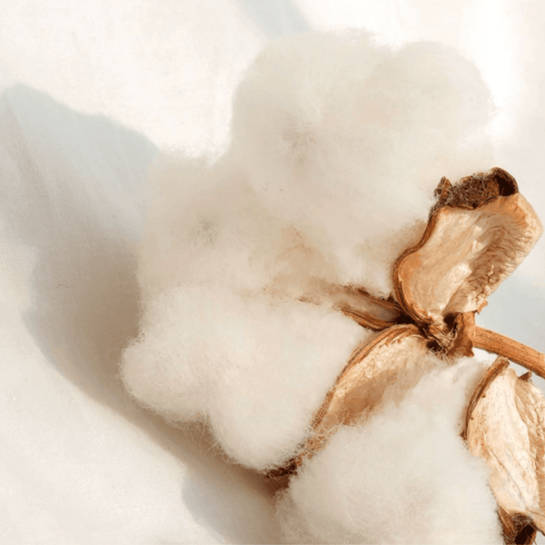 Lazy Goose Little One Cotton Pillow Case Cot Pillows