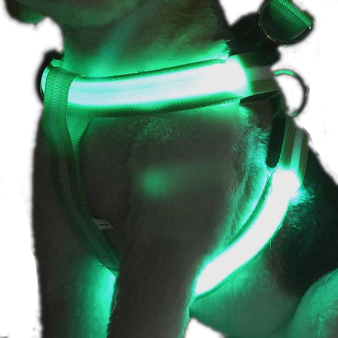 Usb Rechargeable Led Nylon Dog Collar Harness Flashing Light Up Safety Pet Collars P01