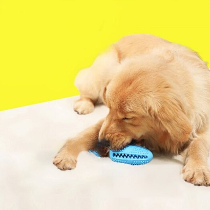 Toothbrush Iq Treat Dispensing Ball Rope Safe Teeth Cleaning Pet Chew Blue Dog Toys