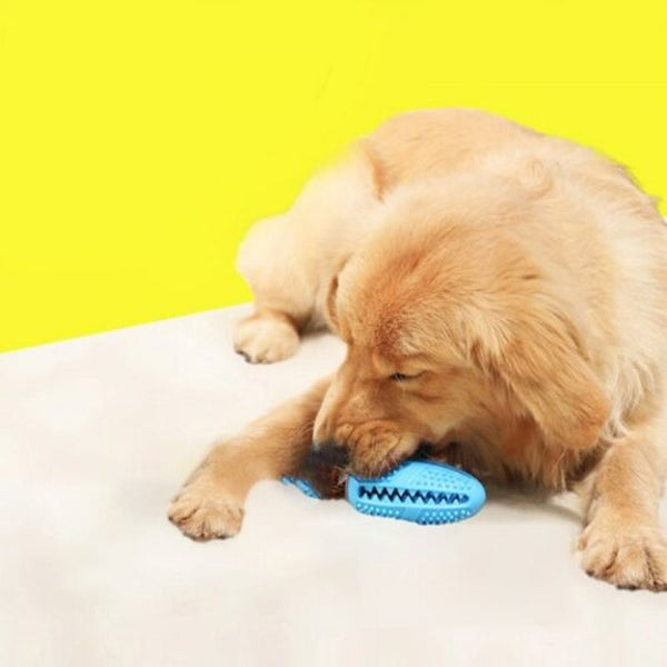 Toothbrush Iq Treat Dispensing Ball Rope Safe Teeth Cleaning Pet Chew Blue Dog Toys