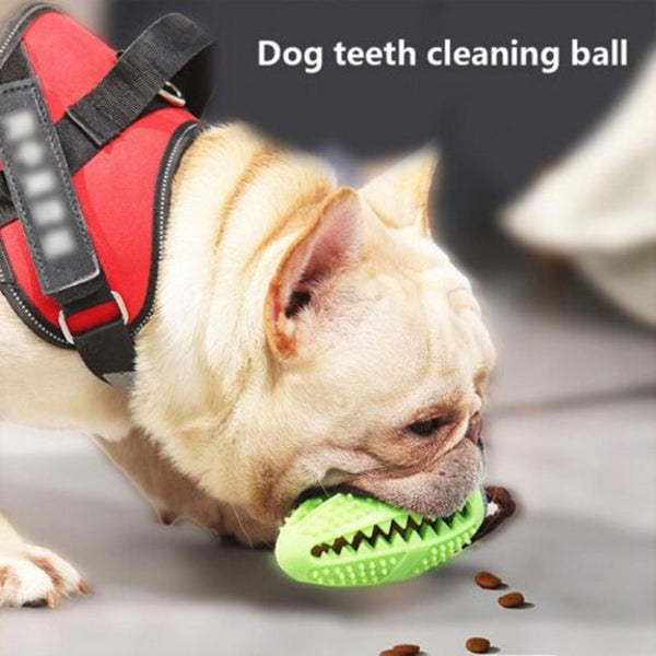 Toothbrush Iq Treat Dispensing Ball Rope Safe Teeth Cleaning Pet Chew Blue Dog Toys