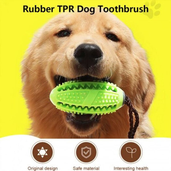 Toothbrush Iq Treat Dispensing Ball Rope Safe Teeth Cleaning Pet Chew Blue Dog Toys