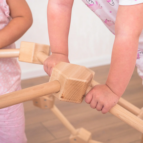 Lifespan Kids Opal Wooden Dome Climber Outdoor Play Sets