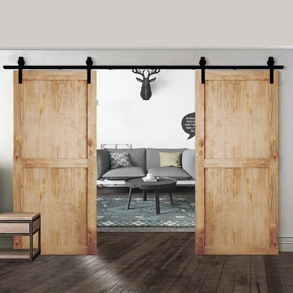 3M Antique Classic Double Sliding Door 3.05M X 6.1M Elegant Style Sliding Door Hardware