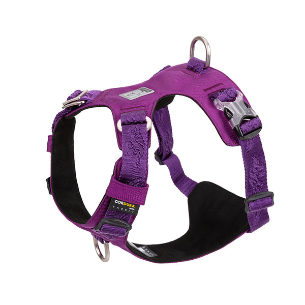 Lightweight Harness Purple