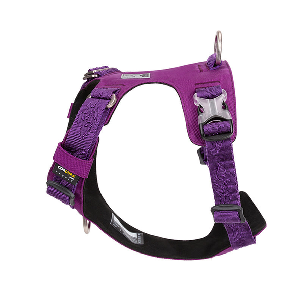 Lightweight Harness Purple