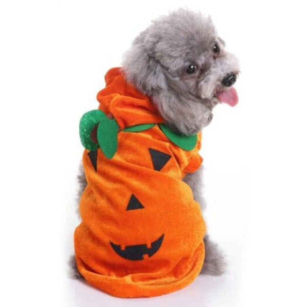 Lovely Healthful Halloween Pumpkin Clothing For Pet Dark Orange M