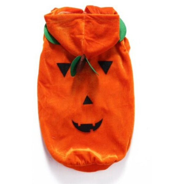 Lovely Healthful Halloween Pumpkin Clothing For Pet Dark Orange M