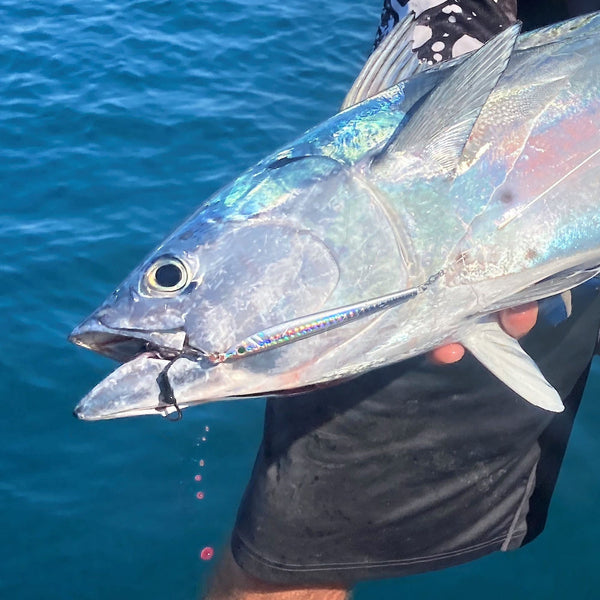 Finesse Pencil Jig 40Gm Lumo Silver 2 Pack Baits & Lures