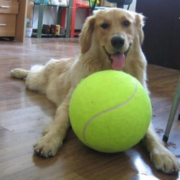 Mega Ball Giant Tennis Dog Toy Dog Toys