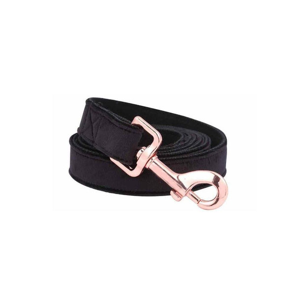 Midnight Black Velvet Dog Collar Leash Set Leads & Head Collars