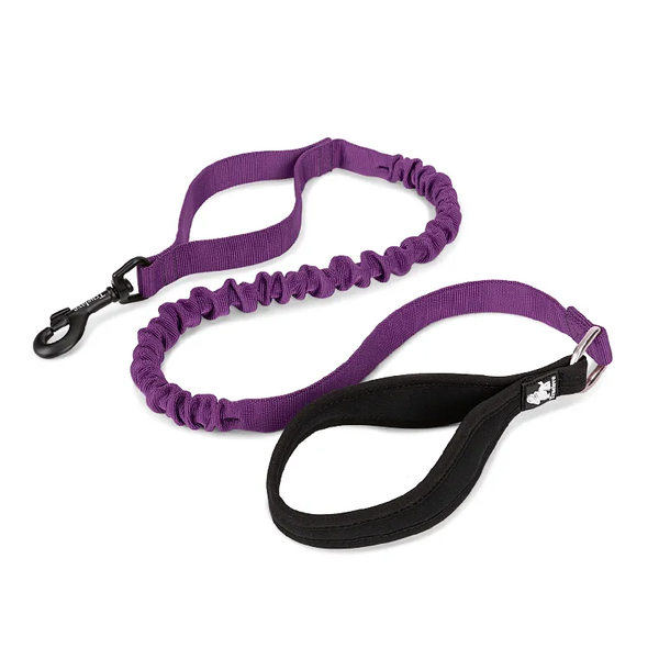 True Love Dog Flexible Neoprene Padded Handle Leash Purple M Leads & Head Collars
