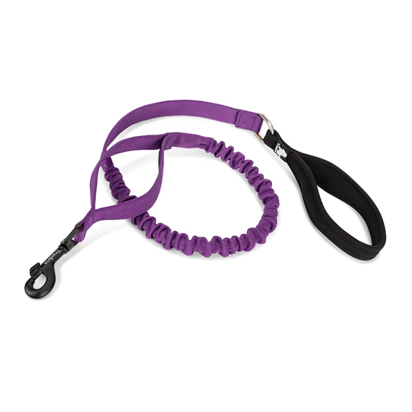 True Love Dog Flexible Neoprene Padded Handle Leash Purple M Leads & Head Collars