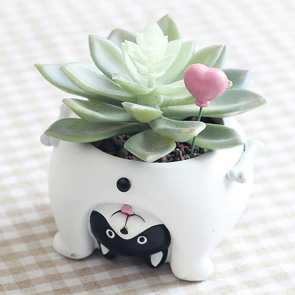 Mini Novelty Animal Succulent Plant Pots Baskets Pots Window Boxes