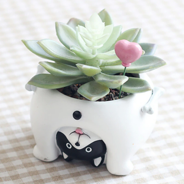 Mini Novelty Animal Succulent Plant Pots