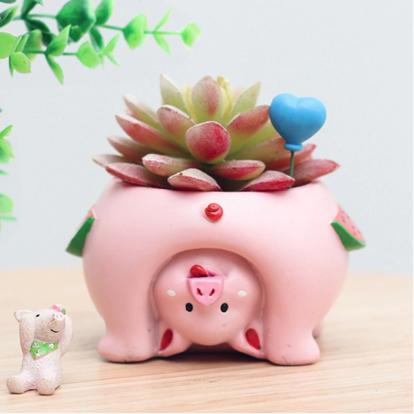Mini Novelty Animal Succulent Plant Pots Baskets Pots Window Boxes