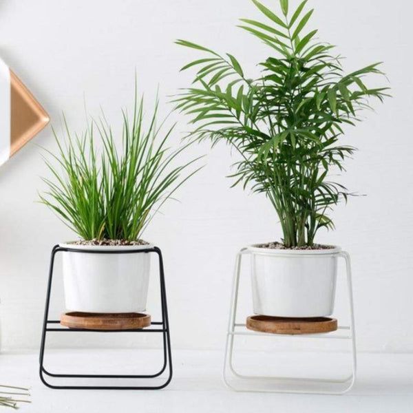 Poise Pot Indoor Little Plant Stand Decor Plant Stands