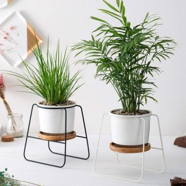 Poise Pot Indoor Little Plant Stand Decor Plant Stands