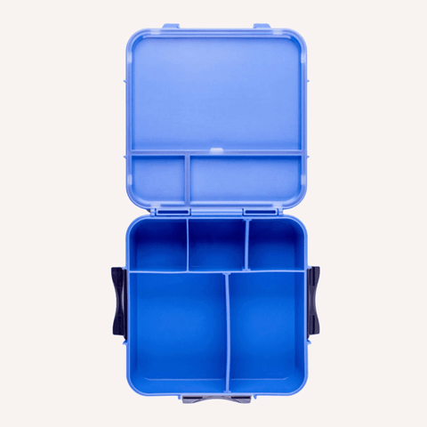 Bento Plus Lunch Box Blueberry Large Capacity Leakproof Food Container Lunchboxes & Bags