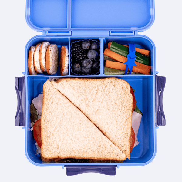 Bento Plus Lunch Box Blueberry Large Capacity Leakproof Food Container Lunchboxes & Bags