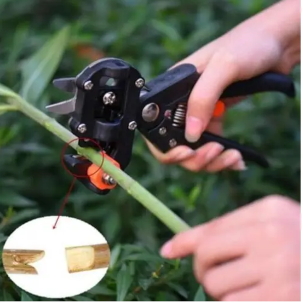 Multifunctional Grafting Fruit Tree Gardening Shear Tool Black Pruning Shears & Snips