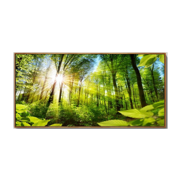 Natural Forest Wall Art Pictures Canvas Painting Landscape Living Room Decor Posters & Prints