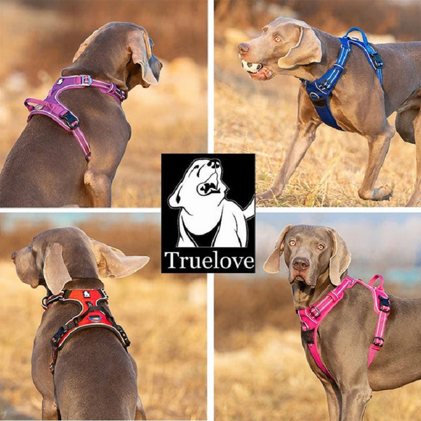Harnesses True Love No Pull Harness Pink M