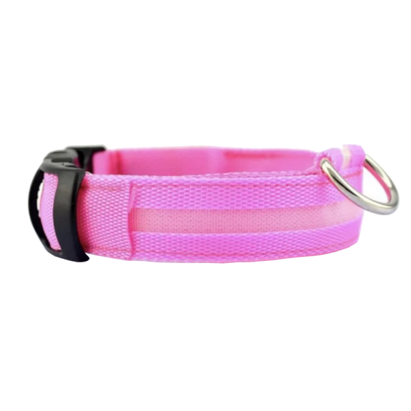 Novelty Safety Usb Charging Led Dog Collar Puppies Walking Light Up Dog Collars