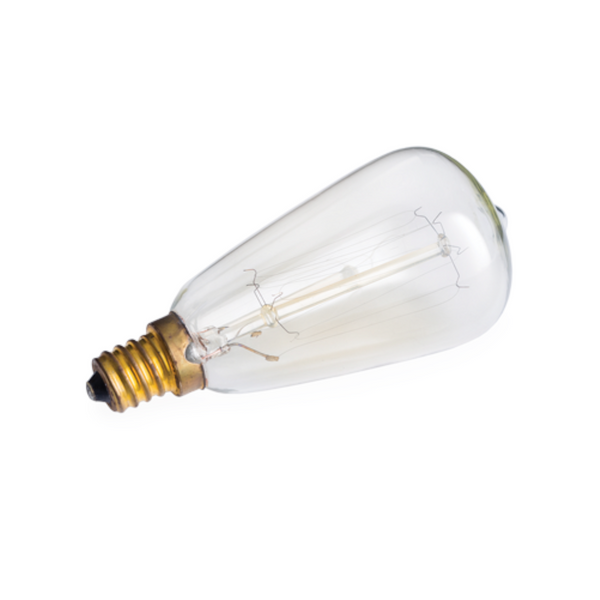 Np3 Bulb Edison Light Bulbs