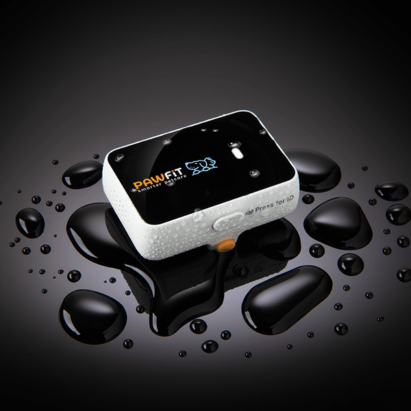 Pawfit 3 Tracker Harnesses