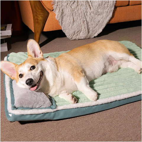 Padded Comfortable Dog Bed Sleeping Mat Cushion For Small Big Dogs