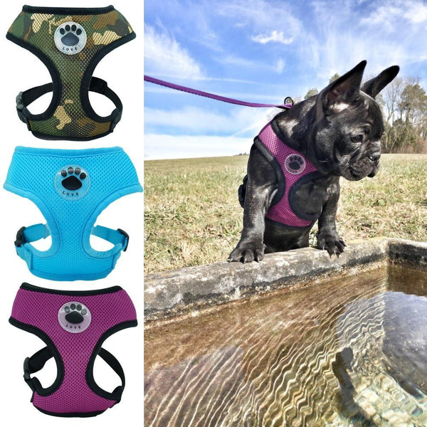 Love Dog Harness Various Colors