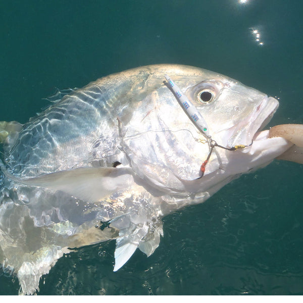 Finesse Lumo Fastdrop Jig 250Gm Hot Pink Qty Baits & Lures