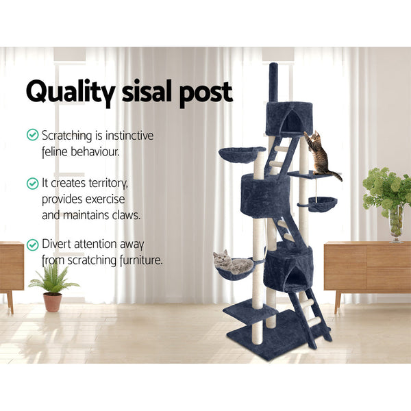 I.Pet Cat Tree Trees Scratching Post Scratcher Tower Condo House Grey 244Cm Furniture & Scratchers