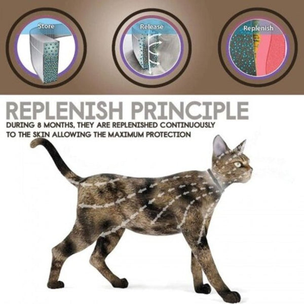 Pet In Vitro Insect Repellent Collar Cats Dogs Anti Worm Lice Plant Essential Oil Protection M Flea Tick Remedies