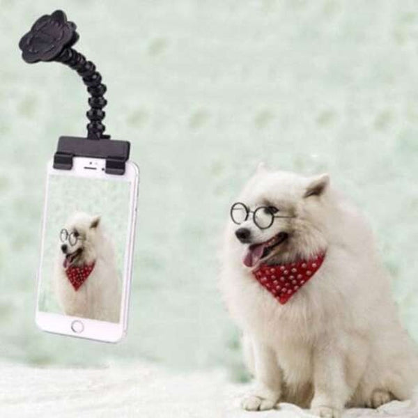 Pet Selfie Stick Photo Artifact Dog Look Camera Funny Tool Black Pet Cameras
