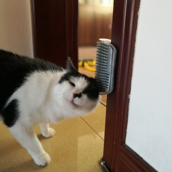 Pet Cat Rubber Corner Massage Scratch Comb Grey