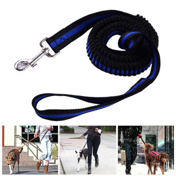 Leads & Head Collars Pet Lead Large Small Dog Leash 1.2 Metre Expandable Bungee Training Rope