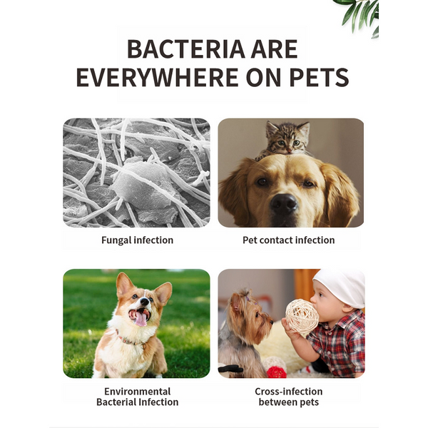 Pet Germicidal Sterilizing Comb Usb Rechargeable Cat Dog Automatic Hair Removal Brush Dog Grooming