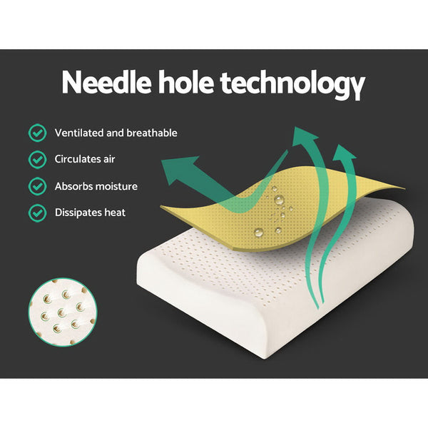 Giselle Set Of 2 Natural Latex Pillow Pillows