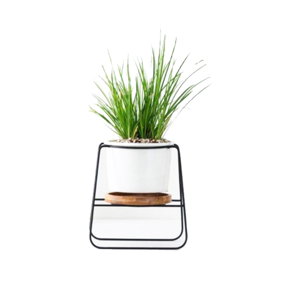 Poise Pot Indoor Little Plant Stand Decor Plant Stands