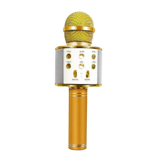 Handheld Studio Microphones Colourful Portable Wireless Karaoke Karaoke Microphones