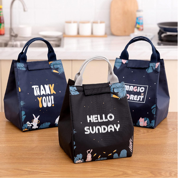 Insulated Thermal Lunch Box Carry Tote Picnic Case Storage Bag 18X24x15cm E01 (18X24x15cm) Lunchboxes