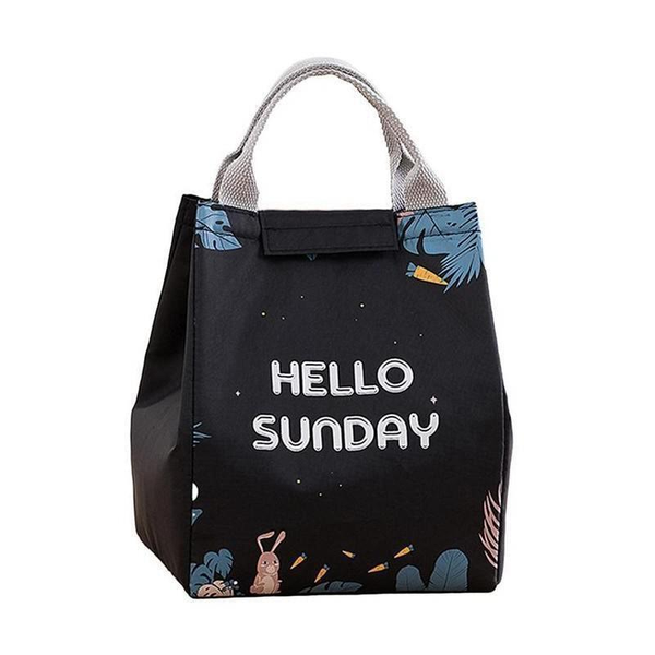 Insulated Thermal Lunch Box Carry Tote Picnic Case Storage Bag 18X24x15cm Style E07 Lunchboxes
