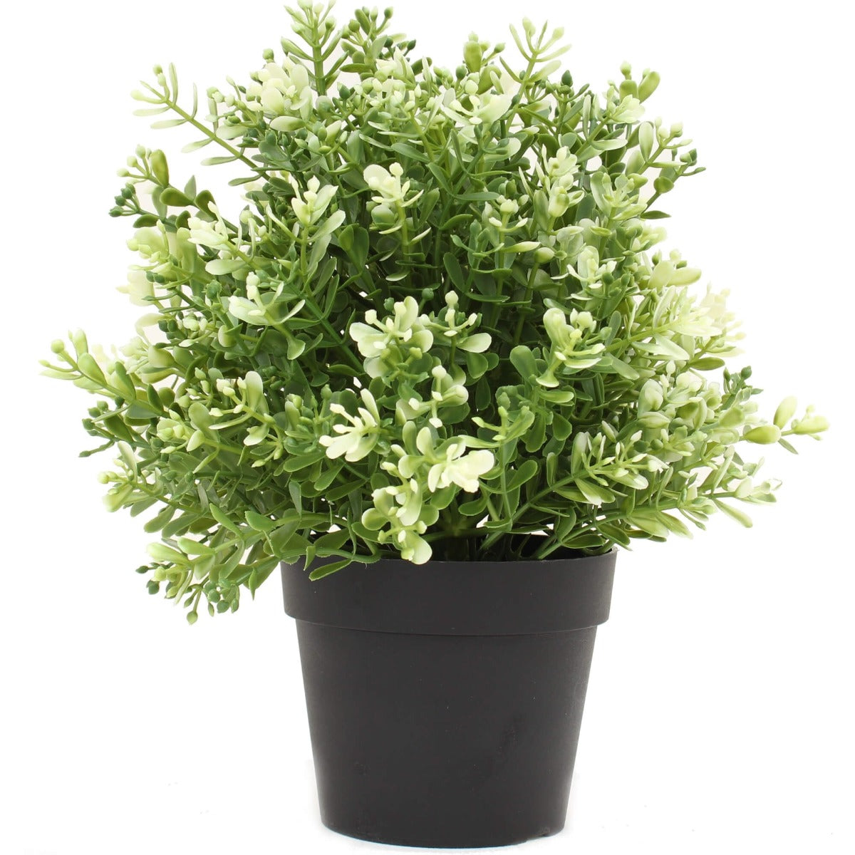 Small Potted Artificial White Jade Plant Uv Resistant 20Cm Artificial Plants