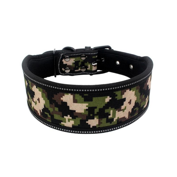 Printed Stylish Dog Collars