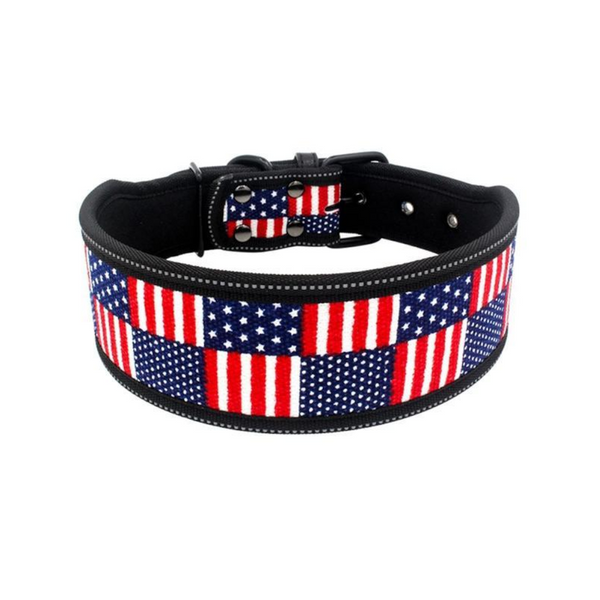 Printed Stylish Dog Collars