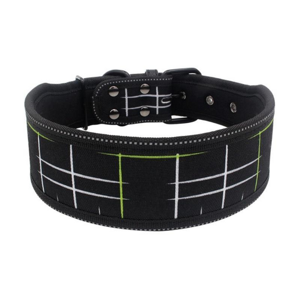 Printed Stylish Dog Collars