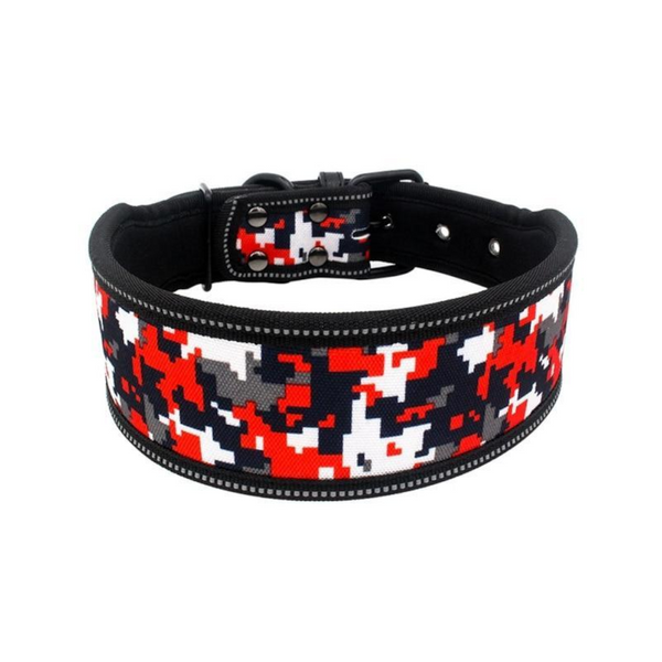 Printed Stylish Dog Collars