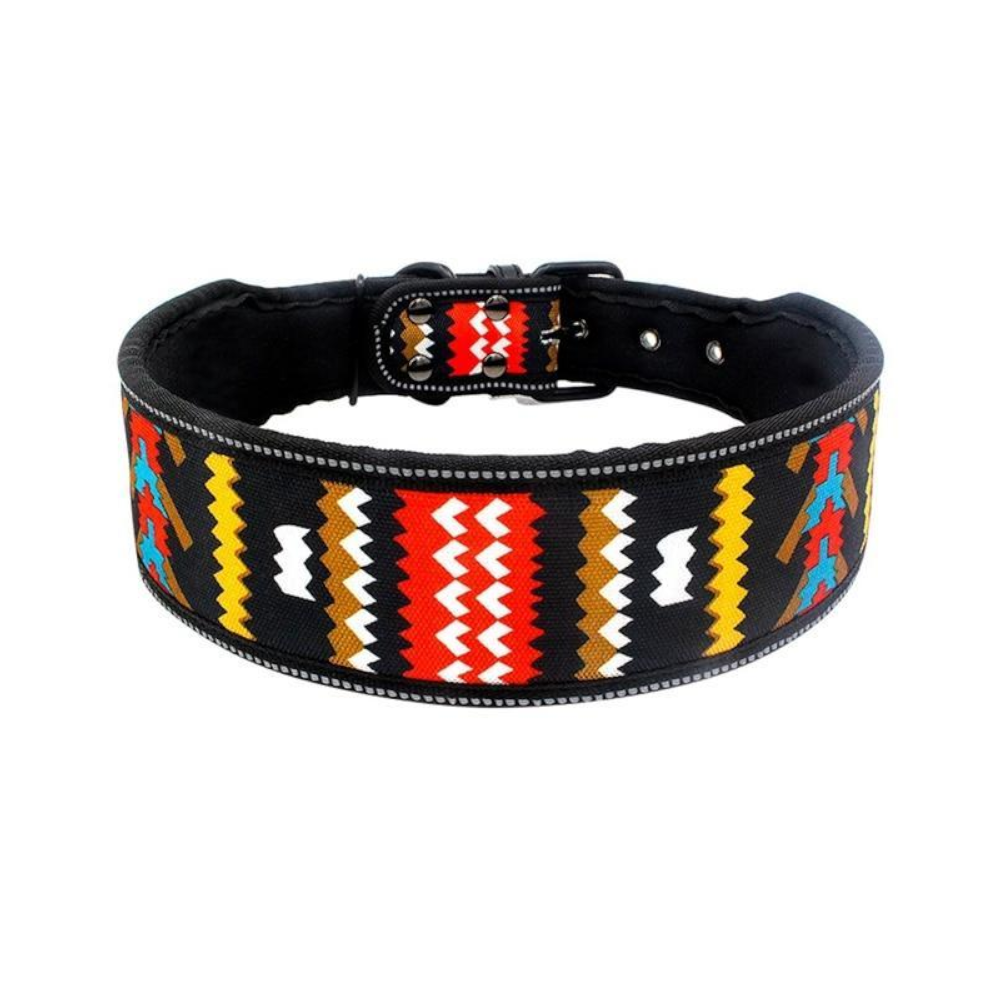 Printed Stylish Dog Collars